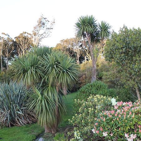 Bed and Breakfast Tui Hideaway Invercargill Esterno foto